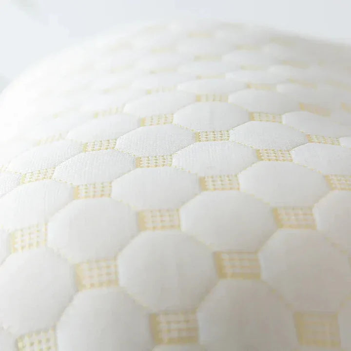 RgonomiQᴿᴳ Ergokudde